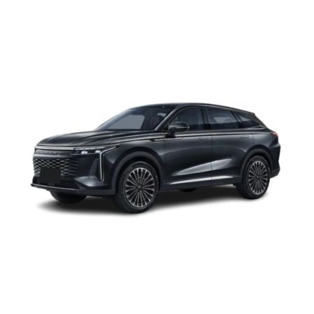 Auto Fußmatten Omoda 9