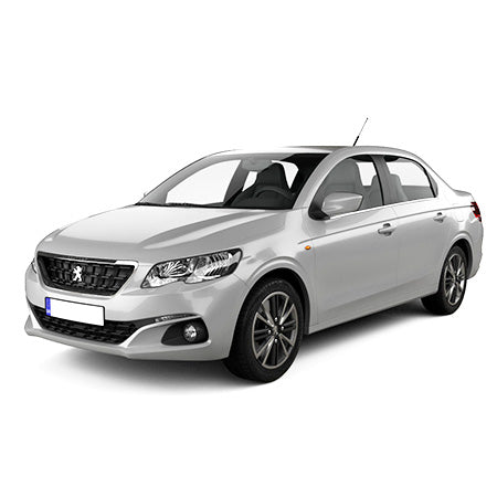 Einstiegsleisten Edelstahl Peugeot 301