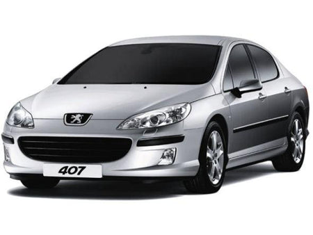 Einstiegsleisten Edelstahl Peugeot 407