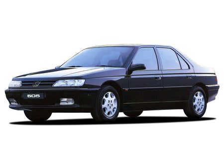 Windabweiser Peugeot 605