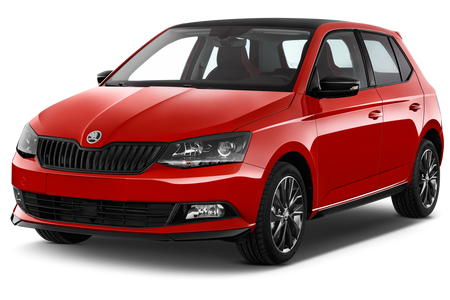 Einstiegsleisten Edelstahl Skoda Fabia