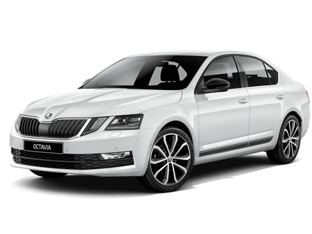 Gummimatten mit hohem Rand Skoda Octavia