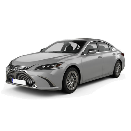 Gummimatten mit hohem Rand Lexus ES