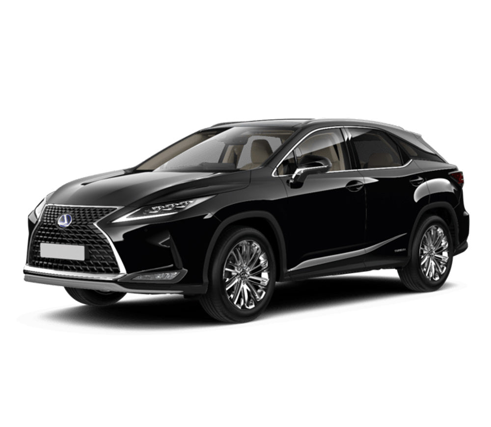 Gummimatten mit hohem Rand Lexus RX AL20 Facelift baujahr 05.2019 - 09.2022, karosserie suv