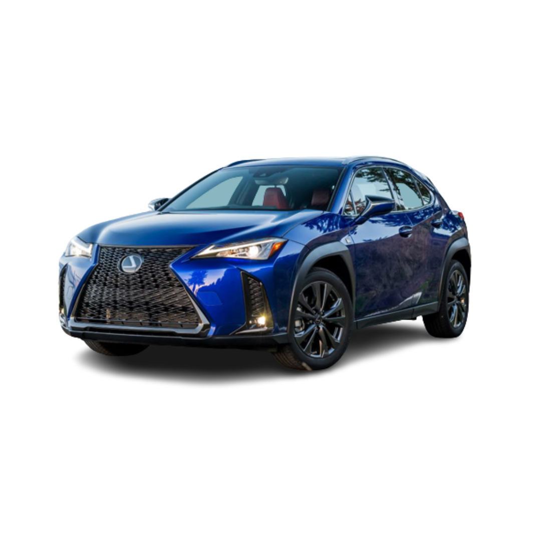 Gummimatten mit hohem Rand Lexus UX 250H Hybrid baujahr 03.2019 - bis heute, karosserie suv