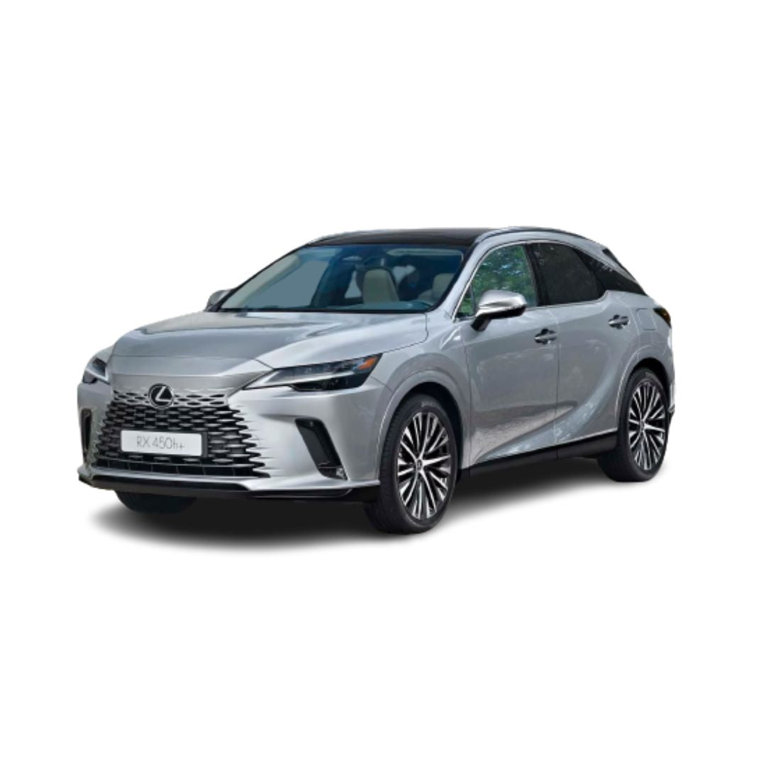 Gummimatten mit hohem Rand Lexus RX AL30 450h+ PHEV baujahr 10.2022 - bis heute, karosserie suv