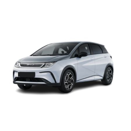 Kofferraumwannen BYD Dolphin baujahr 2021 - 2024, karosserie schrÀgheck
