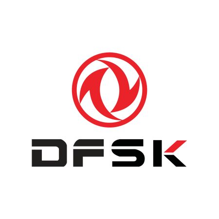 Auto Fußmatten DFSK