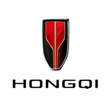 Gummimatten mit hohem Rand Hongqi