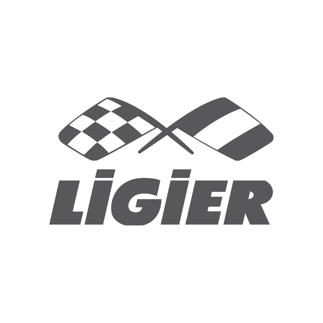 Gummimatten mit hohem Rand Ligier