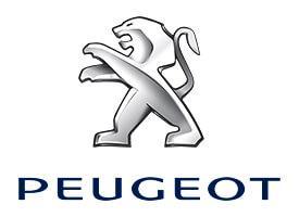 Edelstahl Fußstütze Pedalkappen Peugeot