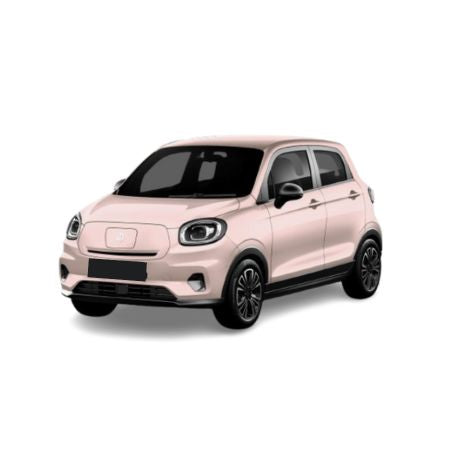 Kofferraumwannen Leapmotor T03