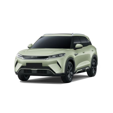 Auto Fußmatten BYD Atto