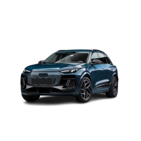 Kofferraumwannen Audi Q6