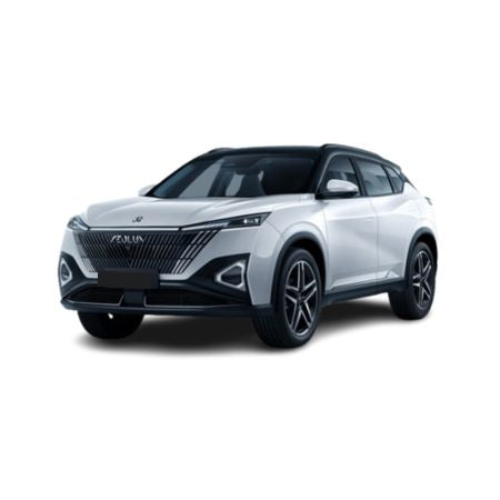 Auto Fußmatten Dongfeng Mage