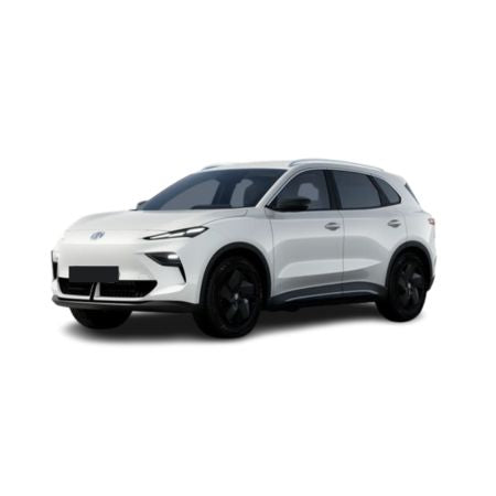 Gummimatten mit hohem Rand MG S5