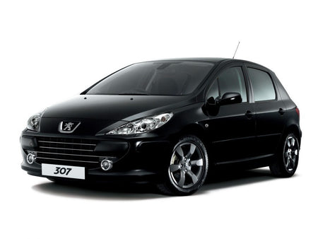Autoteppiche Peugeot 307