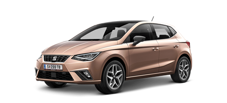 Gummimatten mit hohem Rand Seat Ibiza
