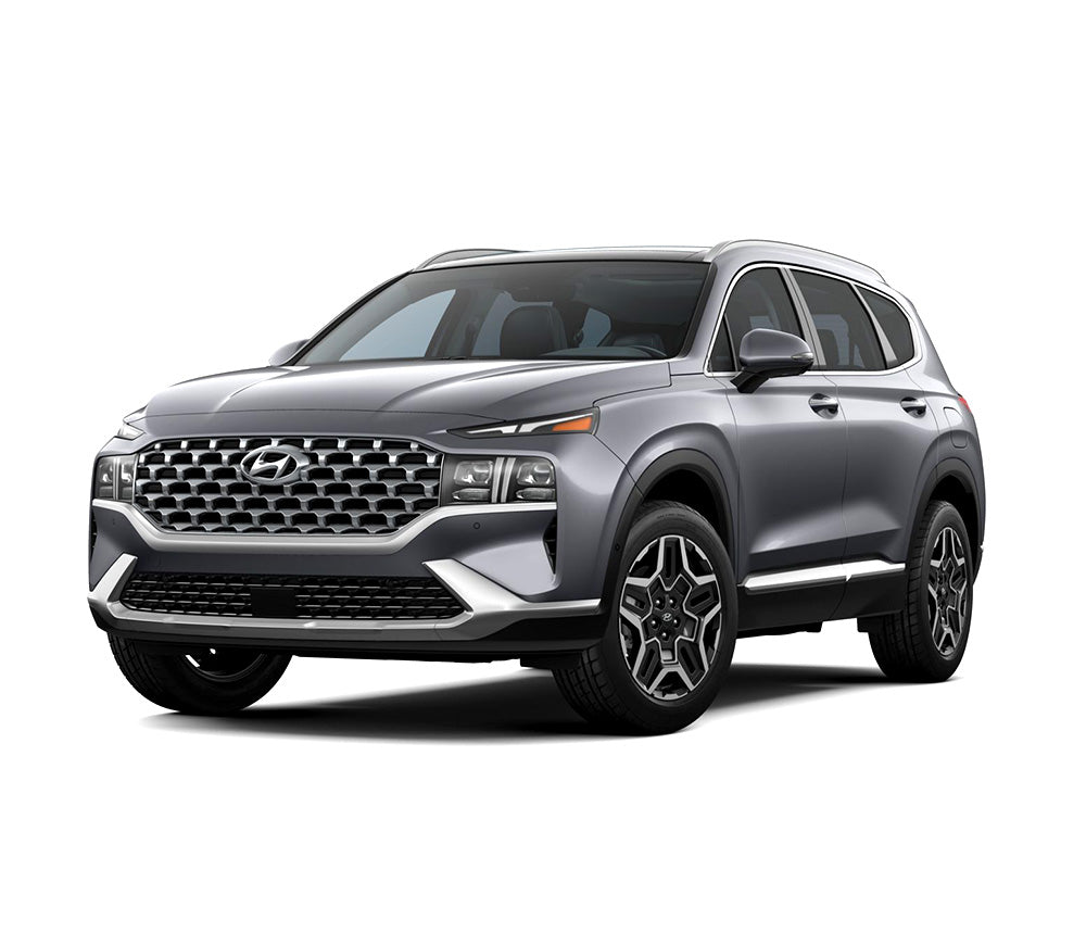 Einstiegsleisten Edelstahl Hyundai Santa Fe IV baujahr 08.2018 - bis heute, karosserie suv