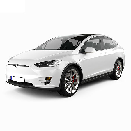Gummimatten mit hohem Rand Tesla Model X
