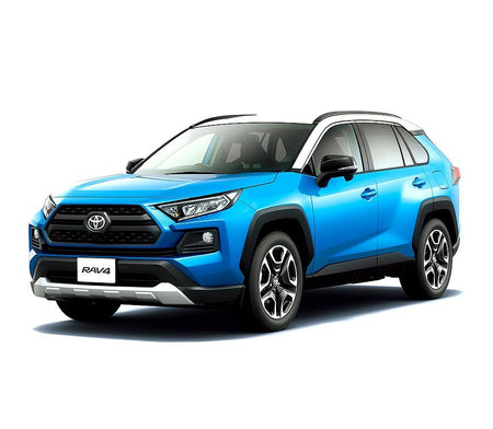 Gummimatten mit hohem Rand Toyota RAV4 V Hybrid baujahr 01.2019 - bis heute, karosserie suv
