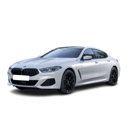 Gummimatten mit hohem Rand BMW 8er Reihe