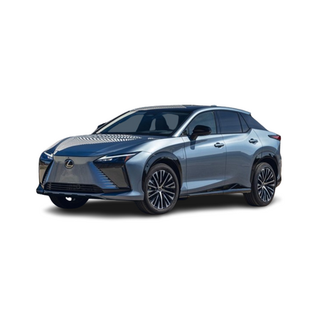 Gummimatten mit hohem Rand Lexus RZ