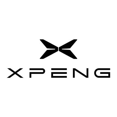 Kofferraumwannen Xpeng