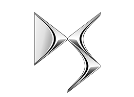 Gummimatten mit hohem Rand DS