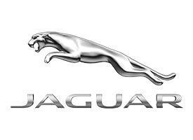 Einstiegsleisten Edelstahl Jaguar