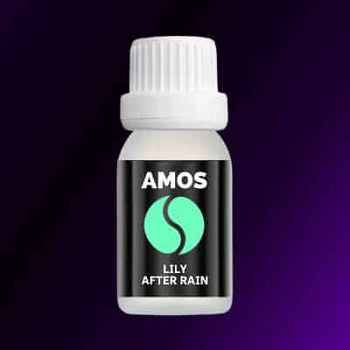 AMOS ONE PACK Smart Diffuser  + 6 verrückte Geschenkparfüms