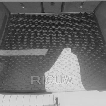 Kofferraumwannen BMW X4 G02, karosserie suv, baujahr 04.2018 - bis heute #1